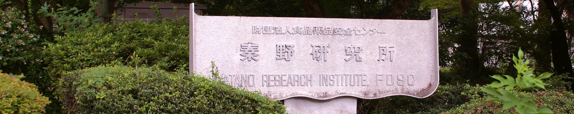 秦野研究所年報
