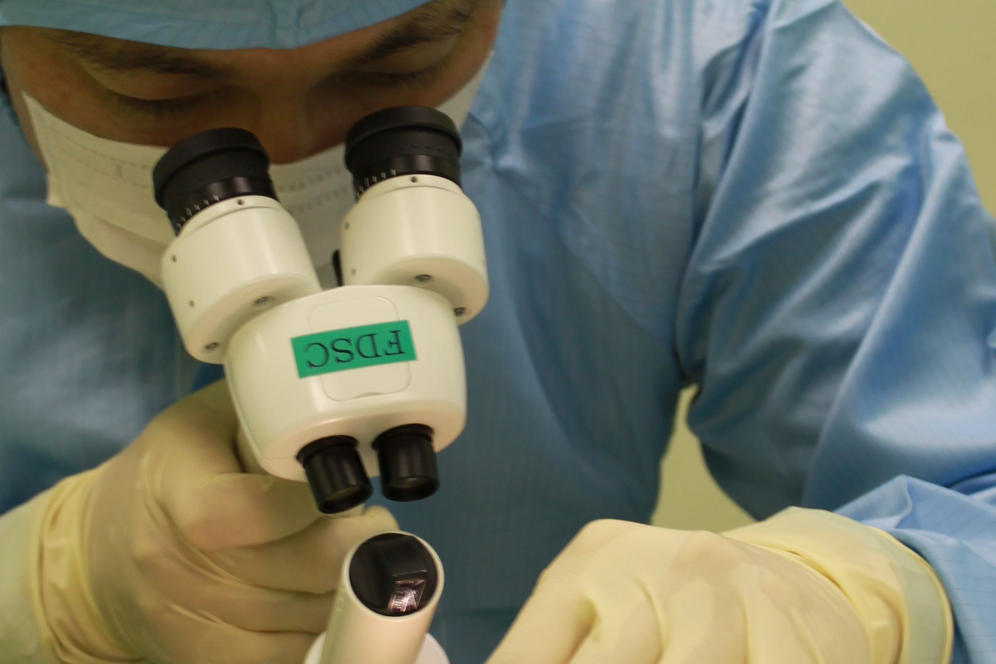 皮膚刺激性試験